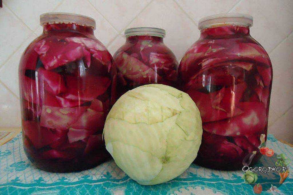 Вкусные рецепты маринования краснокочанной капусты быстрого приготовления в банках на зиму