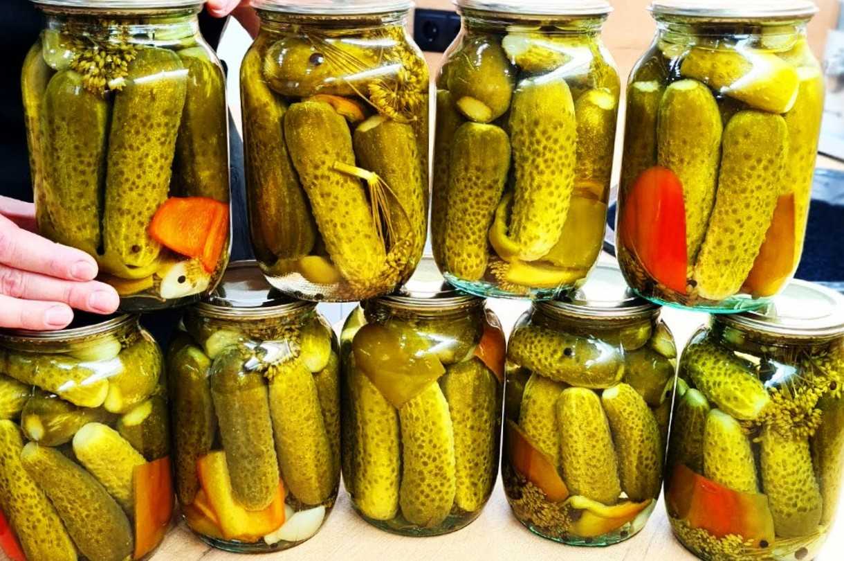 Маринованные огурцы быстрого приготовления — пошаговые рецепты хрустящих огурцов