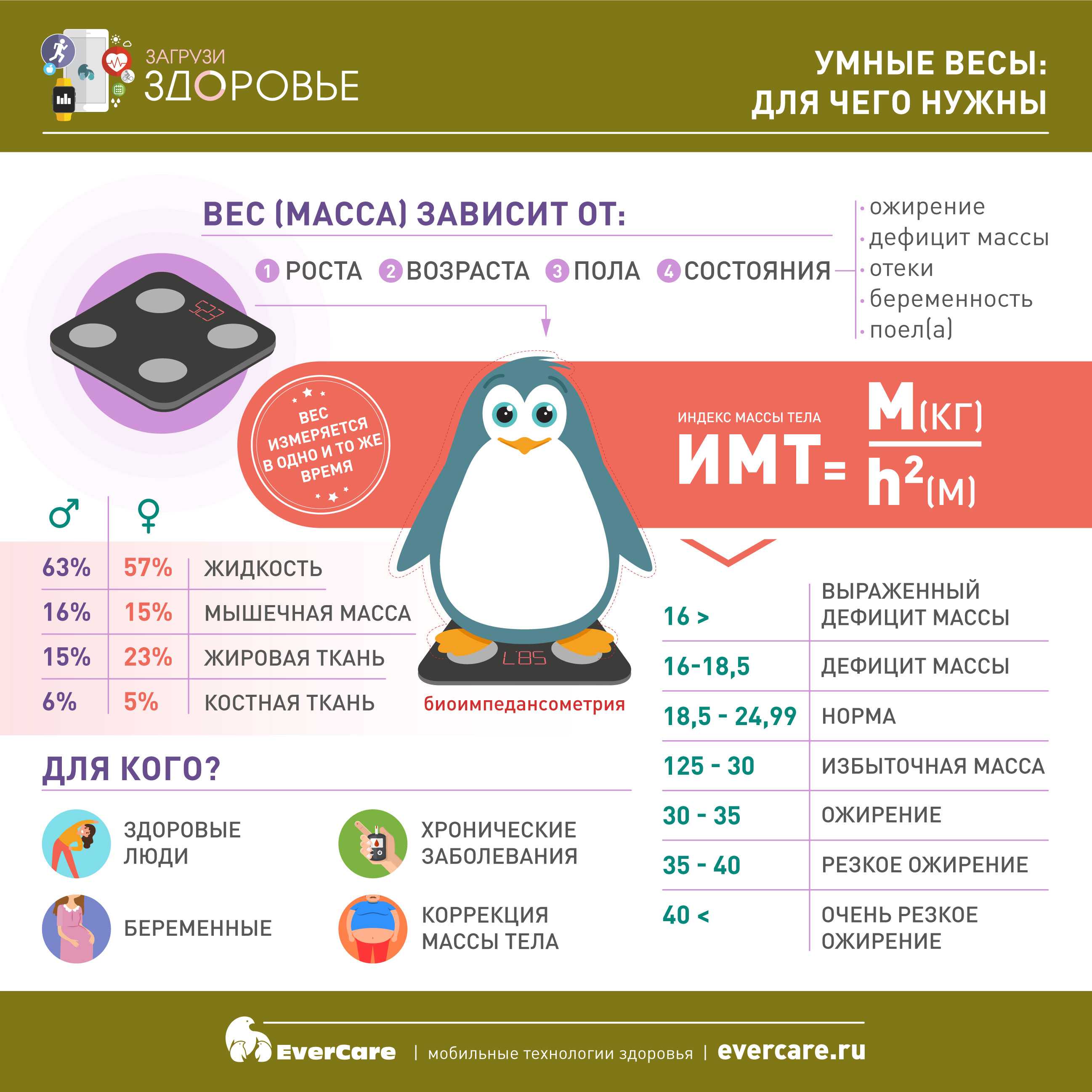 Процент мышечной массы в организме:  норма для мужчин и женщин, как определить в процентах