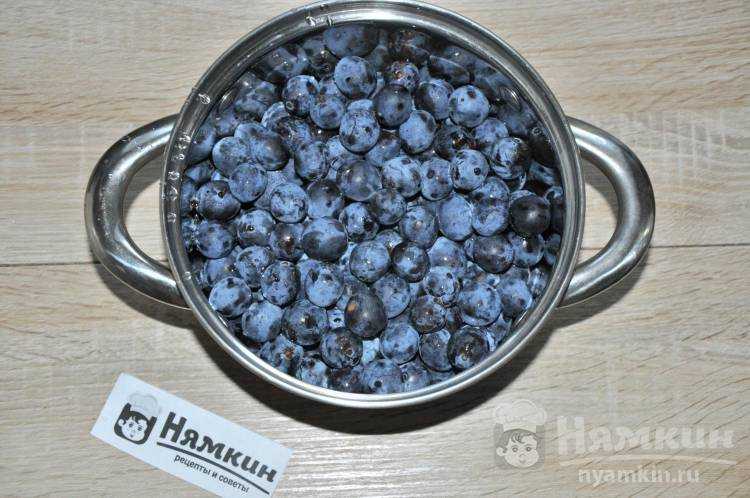 Наливка из сливы (сливянка) в домашних условиях: особенности технологии, нюансы