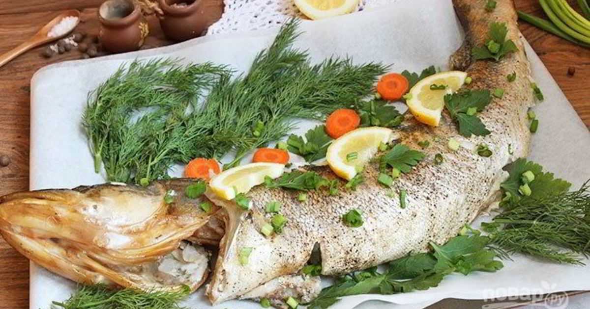 Приготовление судака в сметане. готовим тушеный судак с овощами тушеный судак с овощами
