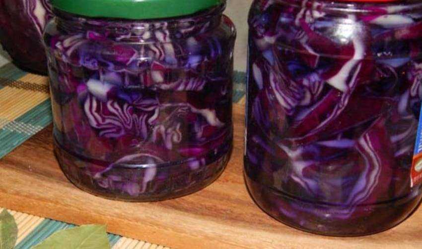 Маринованная краснокочанная капуста рецепты приготовления