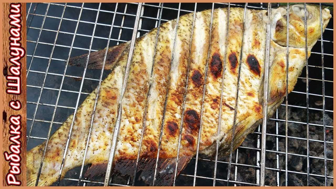 Карп на мангале: запекание на углях и вкусный шашлык из рыбы