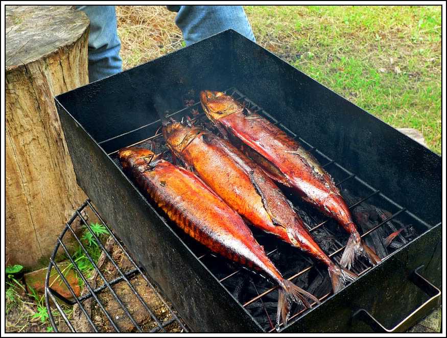 Как коптить мясо: 14 шагов (с иллюстрациями) - wikihow