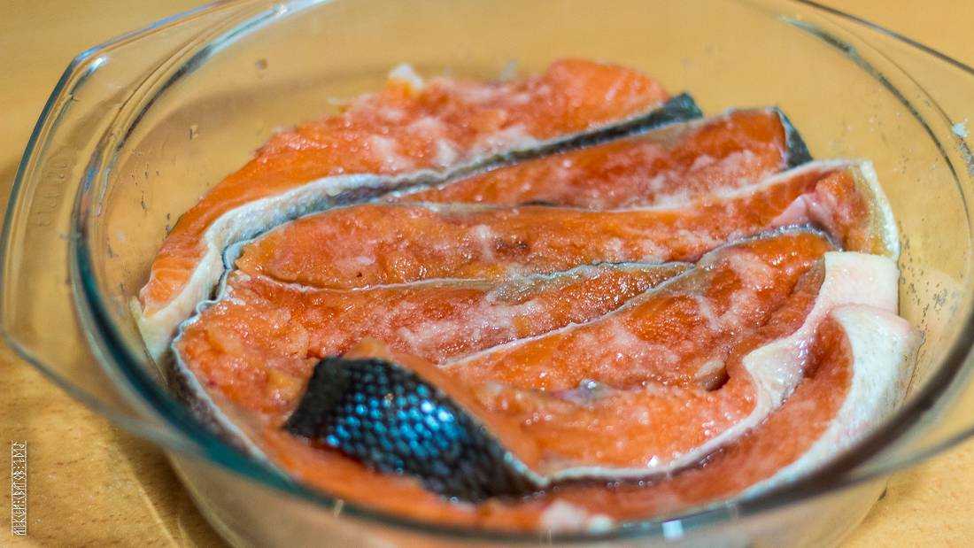 Учимся солить горбушу как слабосоленую семгу — очень быстро, вкусно и просто, проверенные рецепты домашнего посола