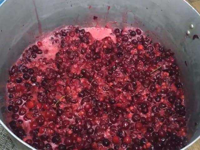 Домашнее вино из вишни