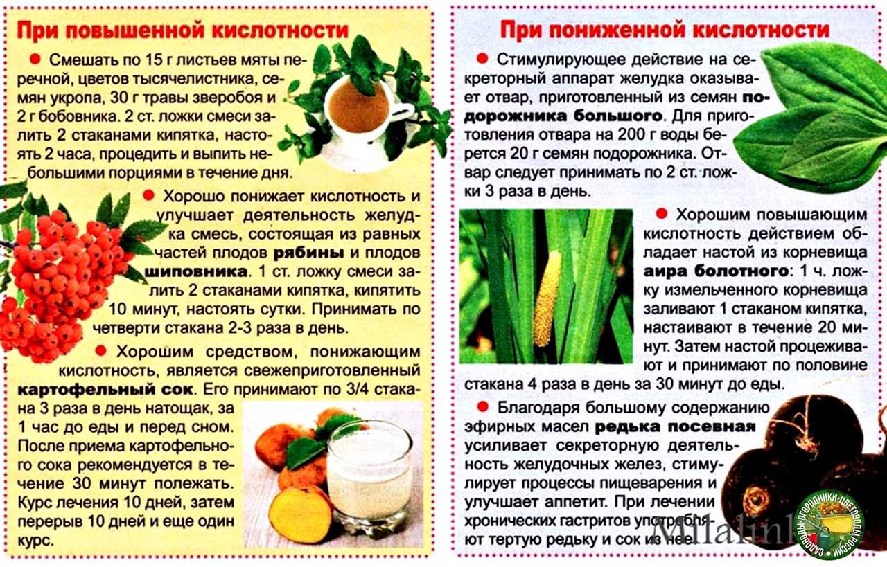 Какие продукты понижают кислотность желудка | статьи - рабепразол разо® 10 мг