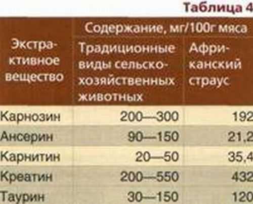 Лучшие натуральные источники l-карнитина