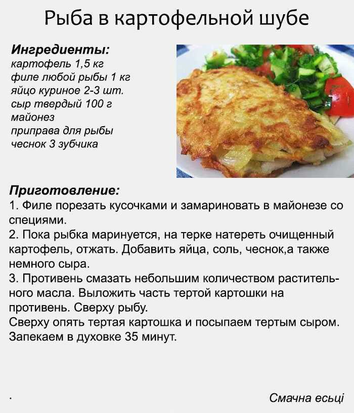 Как приготовить рыбу пелядь рецепты