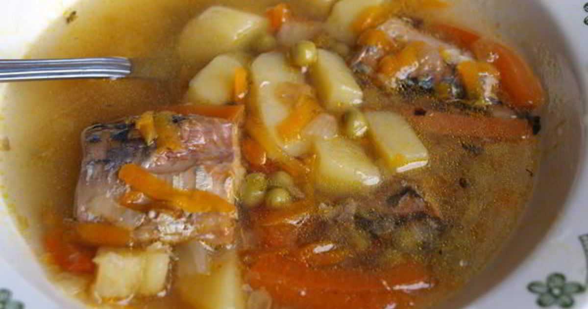 Рыбный суп из консервов: 12 вкусных рецептов приготовления