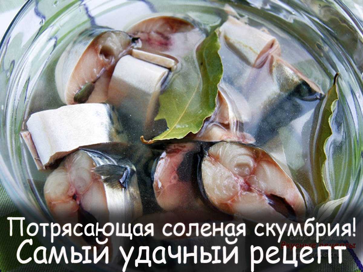 Холостяцкие рецепты, как посолить скумбрию вкусно и быстро