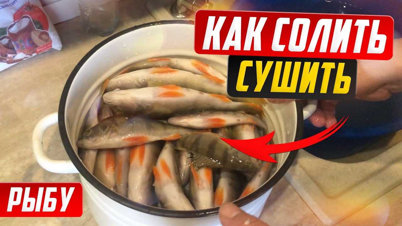 Секреты приготовления вкуснейшей плотвы к пиву: лучшие рецепты