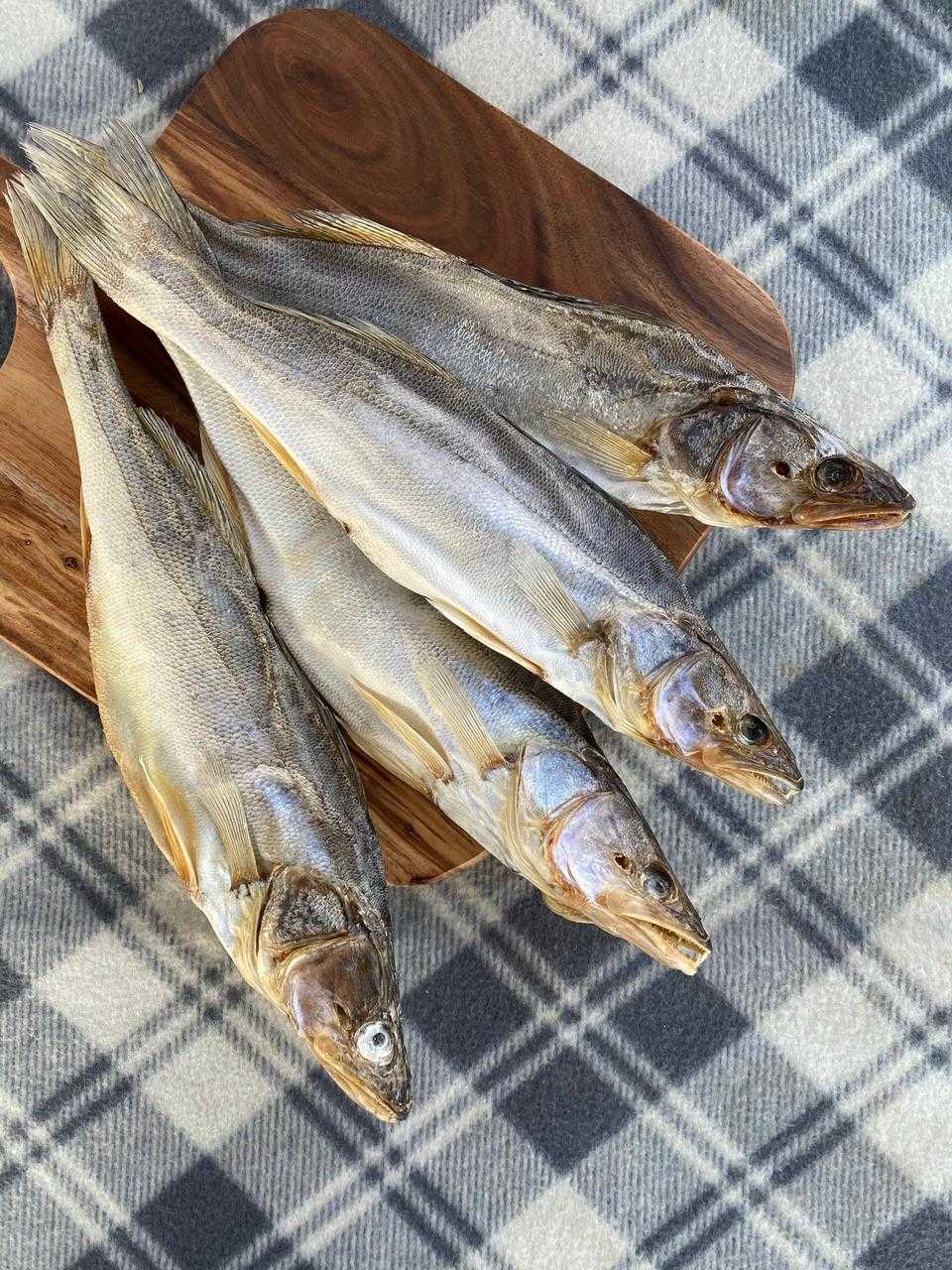 Подарки и советы