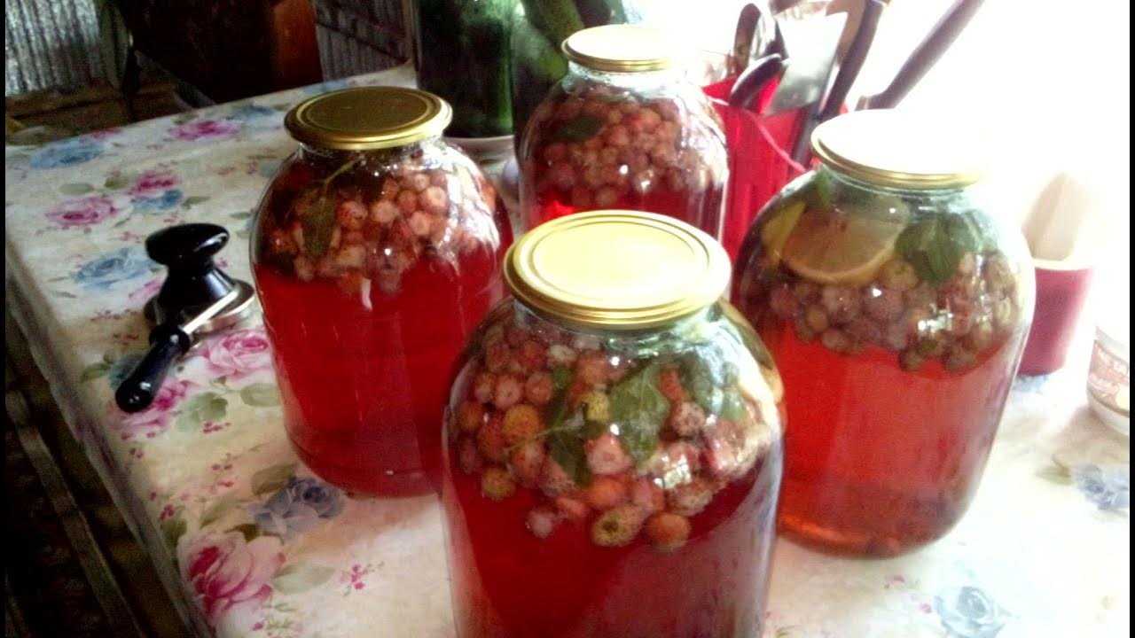 Компот на зиму: 9 лучших рецептов, секреты консервации — женские советы
