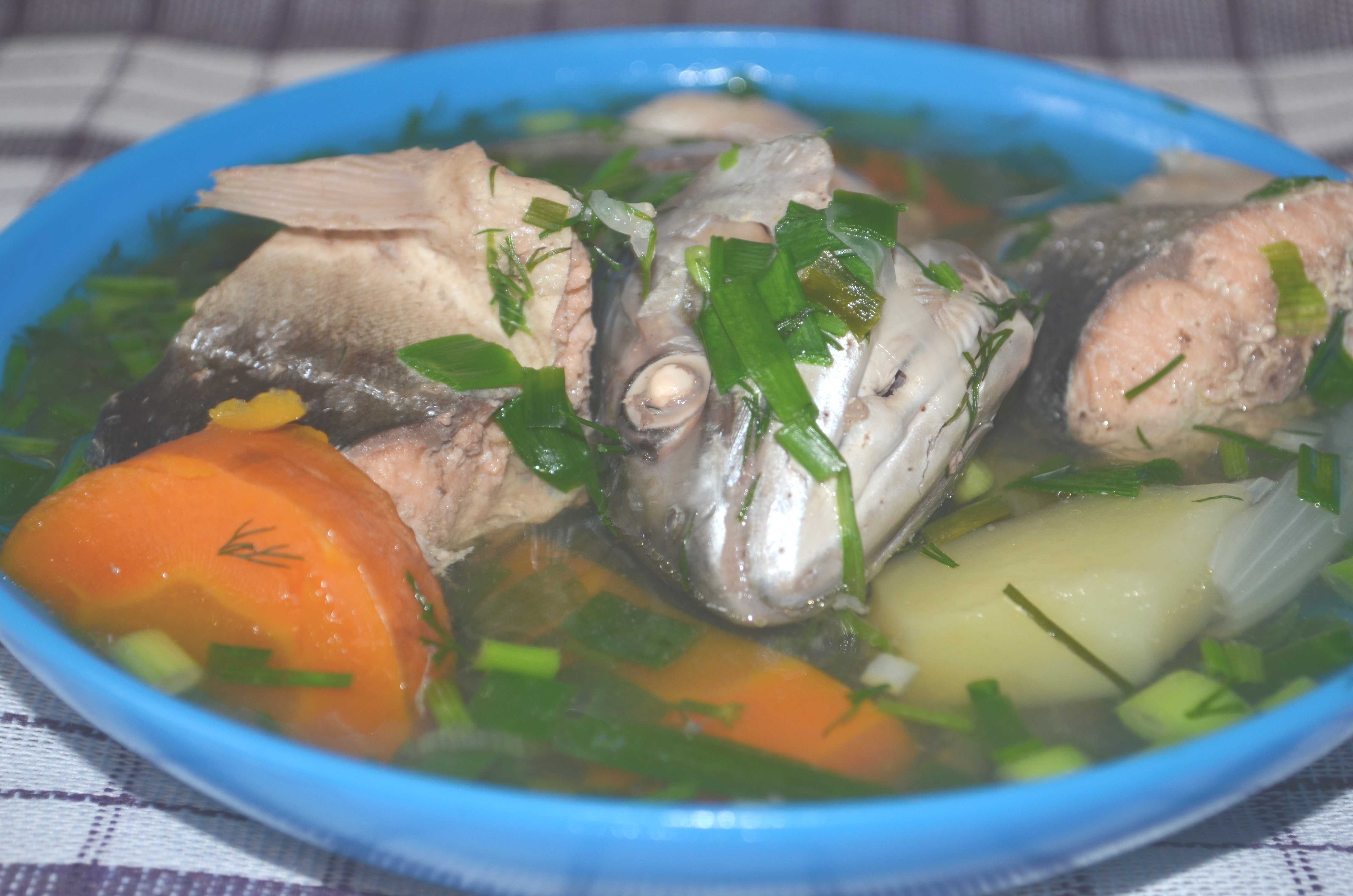 Хочу научить сегодня вас готовить вкуснейший рыбный бульон из горбуши, рецепт с фото я с удовольствием для вас подготовила Бульон получается сытным, вкусным Горбуша очень вкусная рыба, по этому бульон тоже очень-очень вкусный