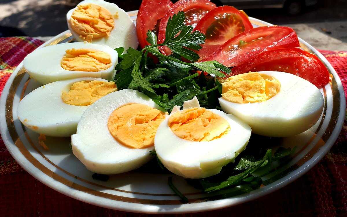Что приготовить на завтрак быстро и вкусно из яиц? 15 идей на скорую руку