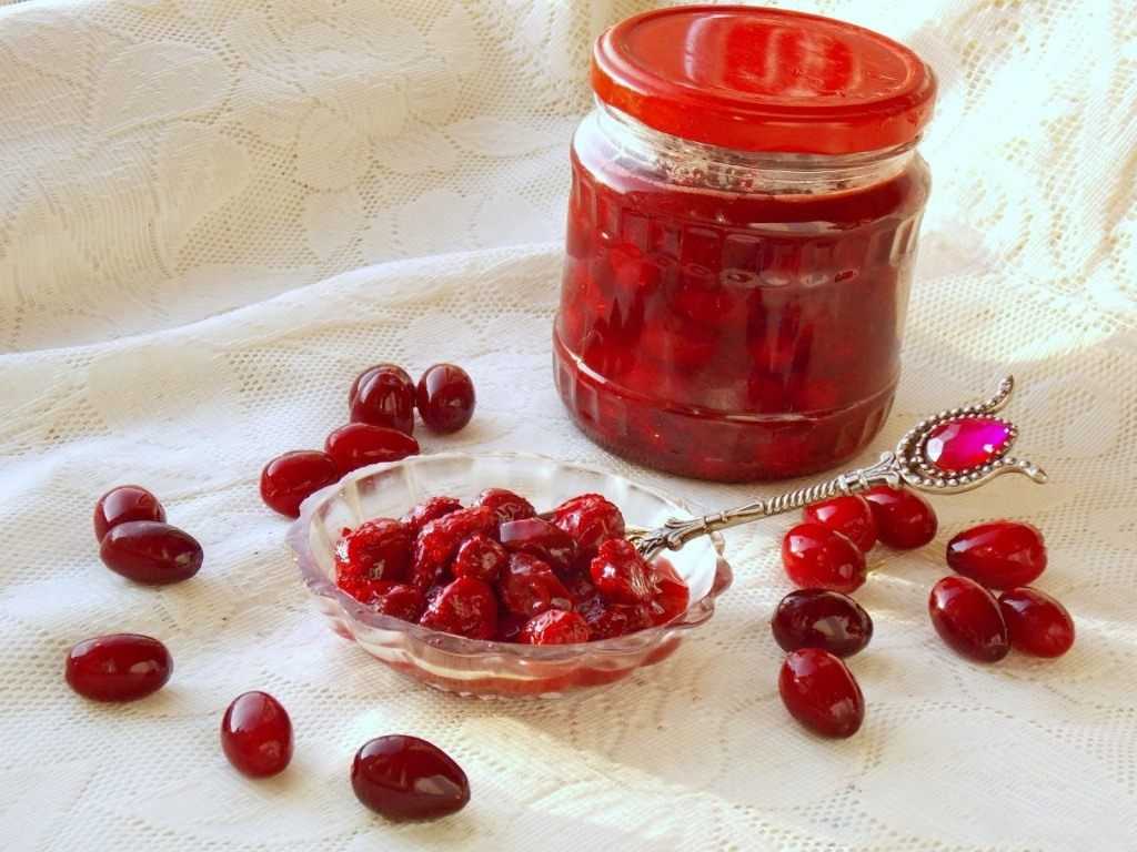 Рецепты приготовления кизила, самые вкусные заготовки