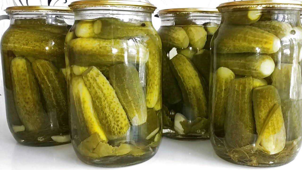 Маринование хрустящих корнишонов на зиму своими руками