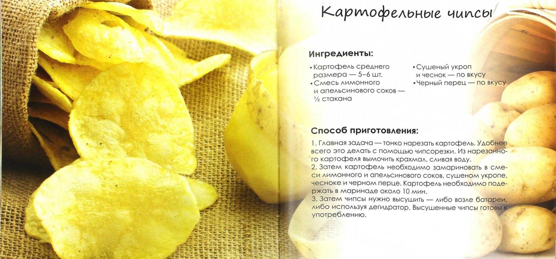 Пастила из яблок в домашних условиях — простые рецепты в духовке и сушилке