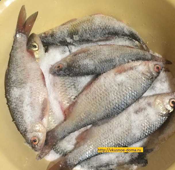 Как сушить рыбу в домашних условиях летом,зимой и осенью