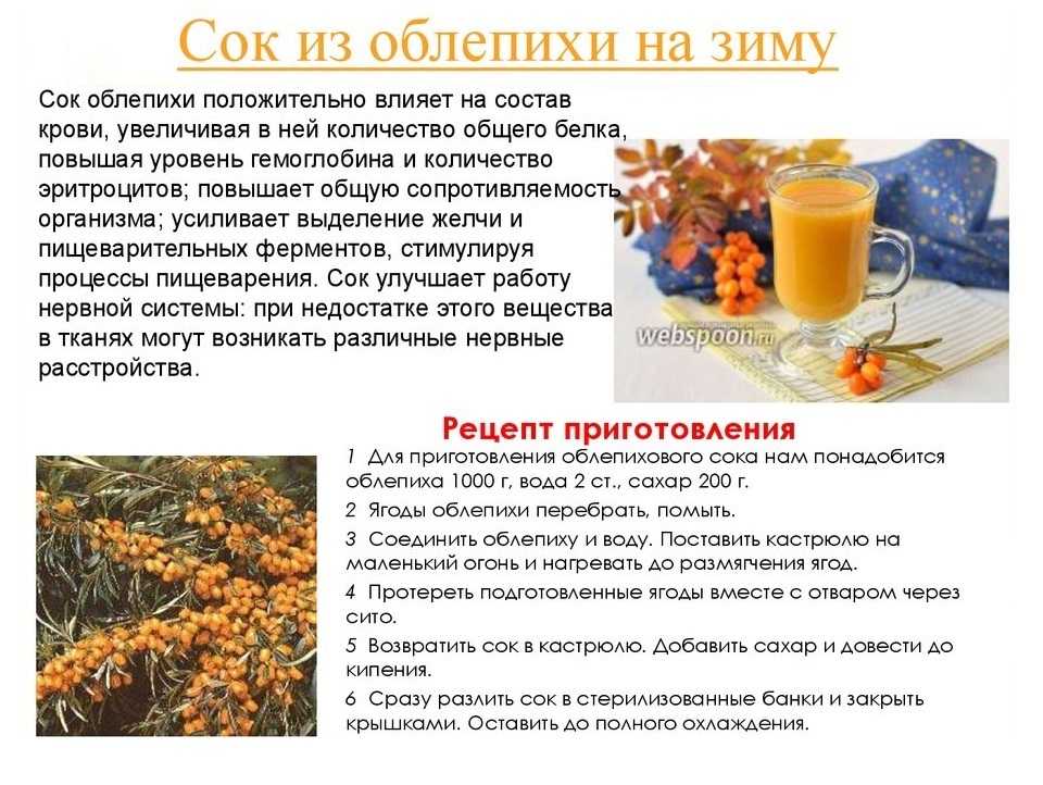 Протертая облепиха с сахаром на зиму: 10 простых рецептов приготовления заготовок