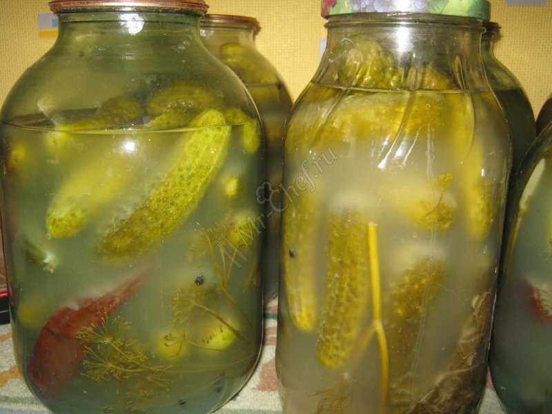 Хрустящие солёные огурцы на зиму в банках — 10 вкусных рецептов в домашних условиях