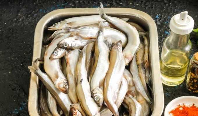 Мойва вяленая в домашних условиях своими руками