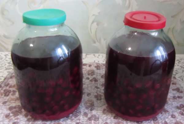 Наливка из вишни в домашних условиях: рецепты с косточками и без