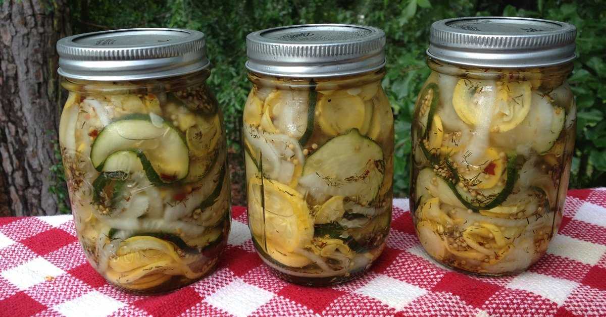 Вкусные кабачки на зиму — 13 лучших рецептов заготовки кабачков