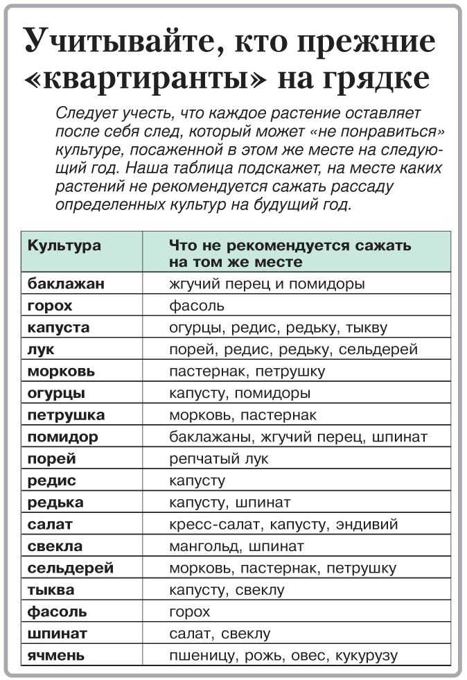 ✅ после редиса что можно сажать - усадьбанатали.рф