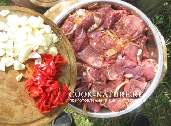 Как замариновать шашлык из дикого кабана чтобы мясо было сочным и мягким
