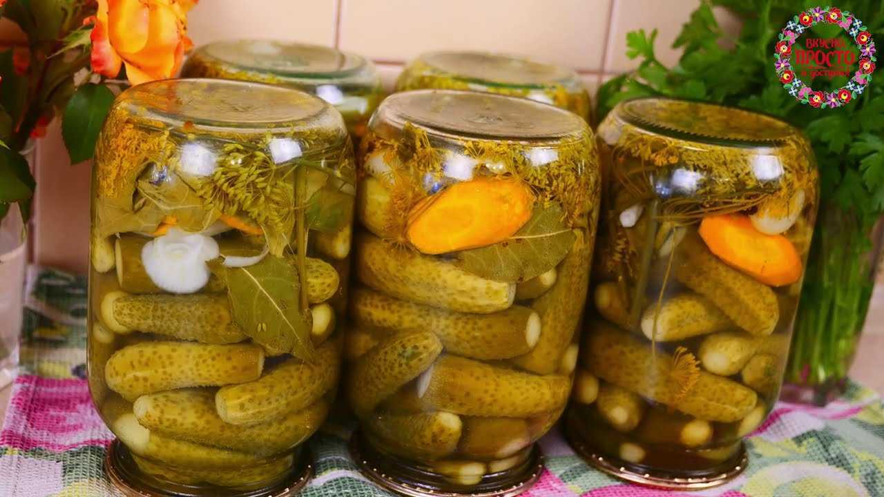 Рецепты, как солить огурцы корнишоны: сорта для засолки, рецепты соленых огурчиков на зиму как в магазине и многие другие